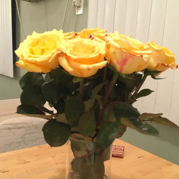 Meet your Posher, Lidia - Picture 1 of 1